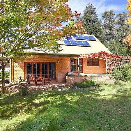Honeysett Lodge Katoomba Eksteriør billede
